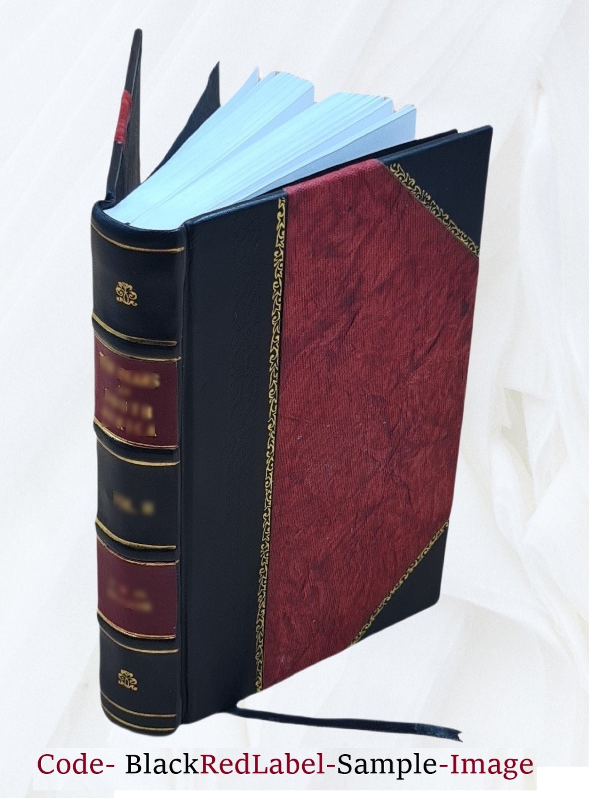 Experience And Nature 1929 By John Dewey [Leather Bound]